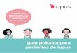 guia práctica para pacientes de lupus · 2016. 11. 11. · Haz preguntas. Habla con tu médico, con la familia, y con los amigos. El objetivo es que como paciente aprendas a cuidarte