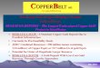 Two Large Gold-Copper-Porphyry Systems in Kazakhstan...Copper-Porphyry System Beskauga is the largest of four explored deposits on license (92% of the combined Licence resources)