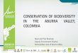 CONSERVATION OF BIODIVERSITY IN THE ABURRA ......IN THE ABURRA VALLEY ANTIOQUIA ABURRA VALLEY 10 municipalities 125 municipalities INHABITANTS Área Km2 6.534.857 3.866.165 1,157 63,612