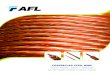 COPPERCLAD STEEL WIRE - AFL