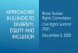 Approaches IN ILLINOIS to Diversity, Equity and Inclusion