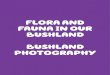 FLORA AND FAUNA IN OUR BUSHLAND PHOTOGRAPHY
