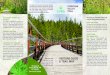 VISITORS GUIDE & TRAIL MAP