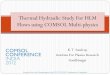 Thermal Hydraulic Study For Heavy Liquid Metal ... - comsol.ru