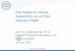 Hot Topics in Visual Inspection on a Cold January Night