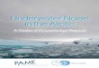 Underwater Noise in the Arctic - PAME