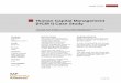 Human Capital Management (HCM I) Case Study