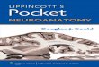 LIPPINCOTT'S Pocket NEUROANATOMY
