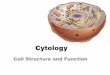 Cytology PowerPoint Notes - Weebly