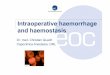 Intraoperative haemorrhage and haemostasis