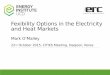 Fexibility Options in the Electricity and Heat Markets
