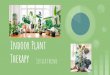 Indoor Plant Therapy - Wayne State University