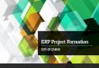 ERP Project Formation