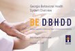 Georgia Behavioral Health System Overview