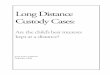 Long Distance Custody Cases - Goldwater, Dubé