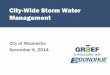 City Wide Storm Water Management Plan Presentation 2014.pdf
