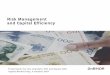 Risk Management and Capital Efficiency