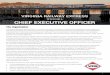 IS SEEKING A CHIEF EXECUTIVE OFFICER