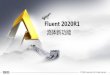 Fluent 2020R1 - peraglobal.com