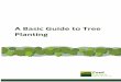 A Basic Guide to Tree Planting - Coed Cymru