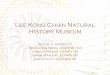 Lee Kong Chian Natural History Museum - School of Life 