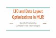 Optimizations in MLIR LTO and Data Layout Compiler Tree 