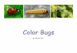 Color Bugs - PreKinders