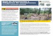 Guía de Preparación y Mitigación de Inundaciones