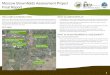Moscow Brownfields Assessment Project Final Report