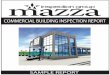 General Information - Mazza Inspections