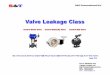 Valve Leakage Class Aug2016 한글