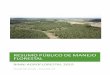 resumo público de manejo florestal - Binni Agroflorestal