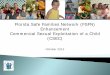Florida Safe Families Network (FSFN) Enhancement 