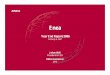 Year End Report 2006 - Enea