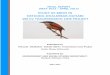 STUDY OF BIRDS IN HETAUDA-DHALKEBAR-DUHABI 400 kV 