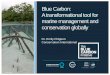Blue Carbon: A transformational tool for marine management 