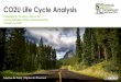 CO2U Life Cycle Analysis