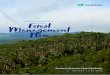 Management Forest of the Plan