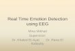 Real Time Emotion Detection using EEG