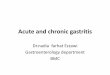 Acute and chronic gastritis - LIMU-DR Home