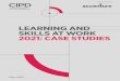 Learning and skills report case studies