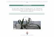 Aquatic macrophytes in status assessment and monitoring of 