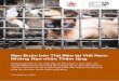 Nạn Buôn bán Thịt Mèo tại Việt Nam: Những Nạn nhân Thầm lặng