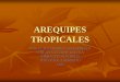 AREQUIPES TROPICALES