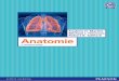 Anatomie 6.Auflage *978-3-8689-4053-4* © 2012 Pearson 