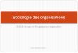 Sociologie des organisations - CHU de Nantes