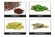 Herb and Spice Cards - agclassroom.org