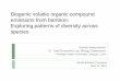 Biogenic volatile organic compound emissions from bamboo 