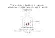 The adrenal in health and disease: essentials for 