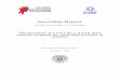 Internship Report - RiuNet repositorio UPV